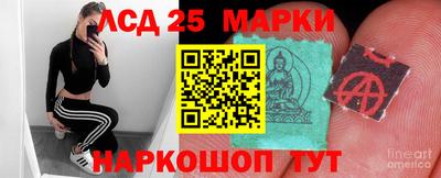 крисы Будённовск