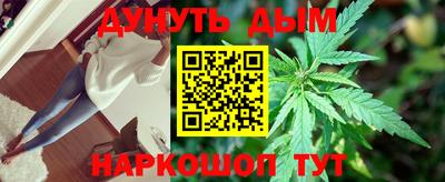 крисы Будённовск