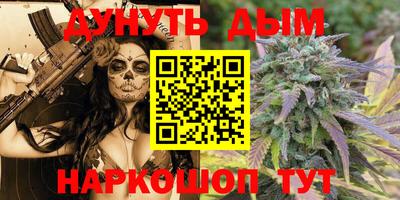 крисы Будённовск