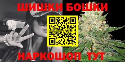 крисы Будённовск