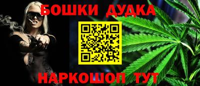 крисы Будённовск