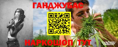 крисы Будённовск