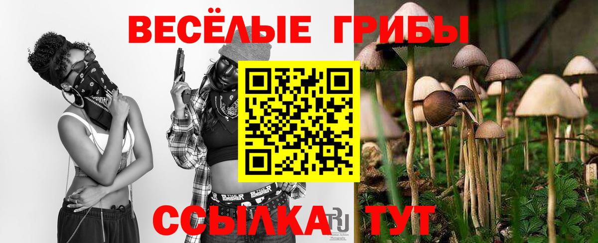 Снежинск  Галлюциногенные грибы MAGIC MUSHROOMS  Вход с VPN  Галлюциногенные грибы мухоморы 